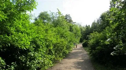 Ботаническата градина Vilar в Северна Бутово