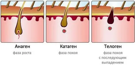 Център за естетична медицина - слънцето - лазерна епилация, bioepilyatsiya