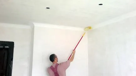 Cum să picteze tavanul în lapte de var baie, vopsea