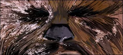 Chewbacca - întreaga istorie a wookiee din universul Star Wars