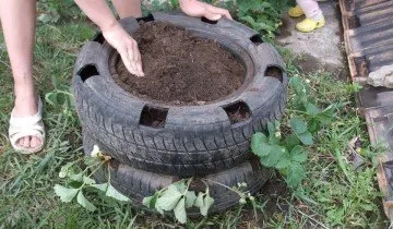 Легла за ягоди - вертикални структури с висока ефективност