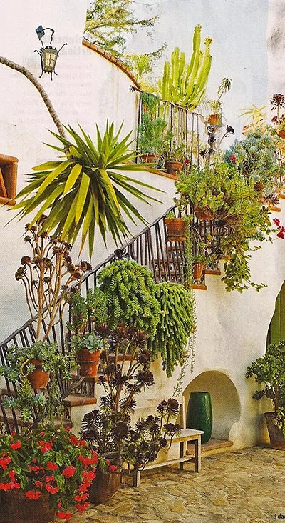 Az az elképzelés, díszítő kert - hogyan díszítik a ház falának növények erkély és a lépcsőház, ország tervezés