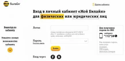 Facturarea beeline gratuit prin studiu personal