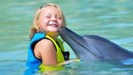 Delfinterápiás a Krímben a gyermekek és felnőttek leírás, árak, javaslatok, Institute of delfin