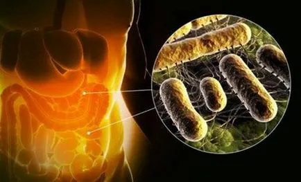 dysbiosis intestinale la adulți și modul în care se manifestă