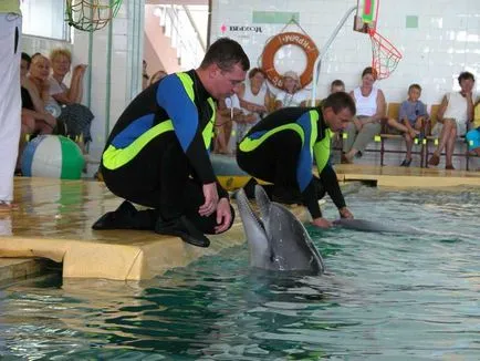 терапия на делфините в Крим за рехабилитация на деца