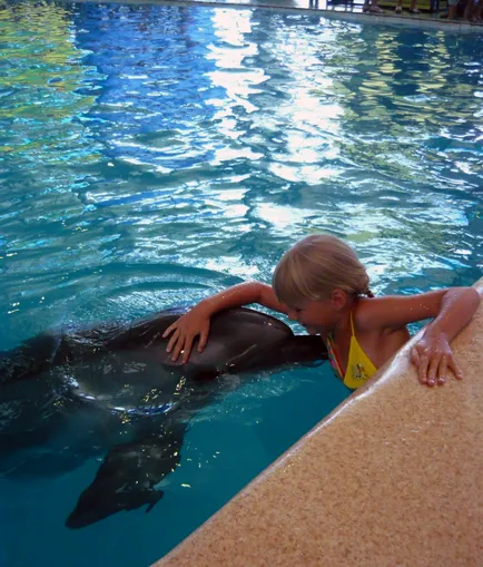 терапия на делфините в Крим за рехабилитация на деца