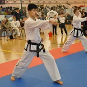 fegyelem Taekwondo