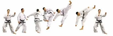 Distspliny Taekwondo