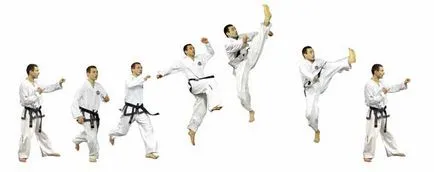 Distspliny Taekwondo