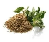 Oregano, tratamentul maghiran