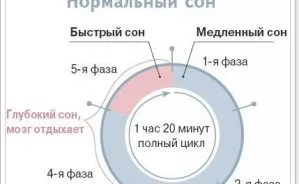 REM спя много последно