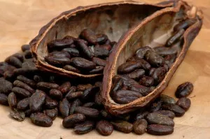 Cacao - beneficiile si dauneaza, proprietăți utile și contraindicații