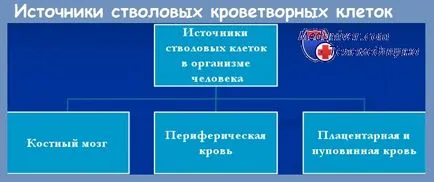 Surse de celule stem hematopoietice - sângele din cordonul ombilical