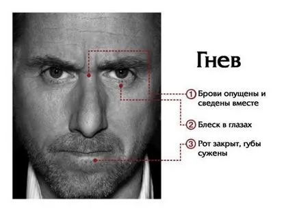 Как да четем мислите на хората да разберат мислите и чувствата на изражението му, науката за душата