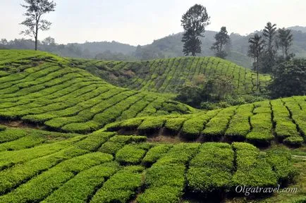 Cum se ajunge la Penang de la Kuala Lumpur, Cameron Highlands și Insulele