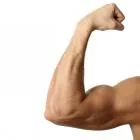 Hogyan kell építeni a bicepsz otthon alapvető gyakorlatok és elvek izomépítés