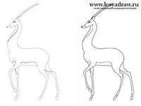 Cum de a desena un creion etape antilope