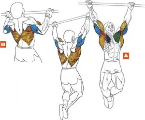 Как да се изгради горните гръдни мускули и лицеви опори на бар, fithelper