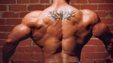 Как да се изгради на мускулите на гърба, ръцете и гърдите на бара