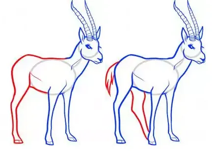 Cum de a desena un creion etape antilope