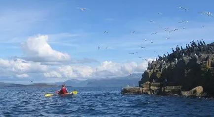 Ce mare la mare în card fotografie uk