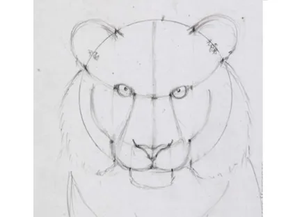 Hogyan kell felhívni a tigris akvarell