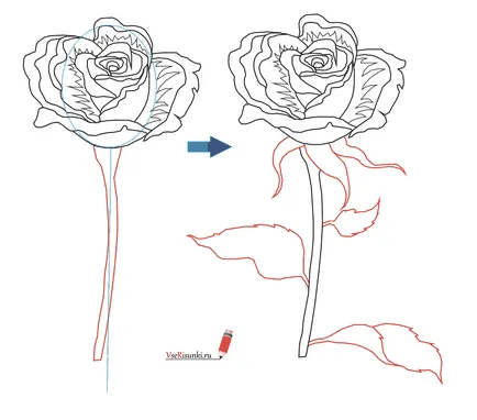Как да се направи една роза в етапа