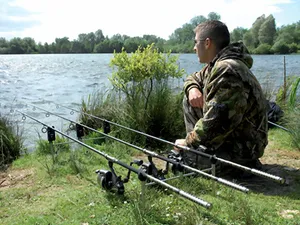 Hogyan válasszuk ki a megfelelő fajta ponty rúd, és válogatott