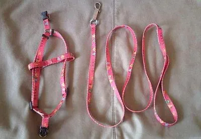 Hogyan kell viselni a kábelköteg a nyúl