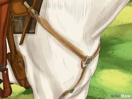 Hogyan kell kihasználni a ló