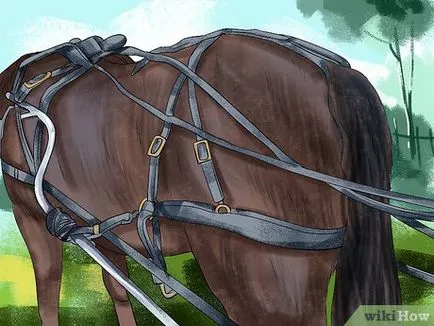 Cum de a valorifica calul