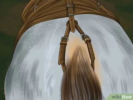 Hogyan kell kihasználni a ló