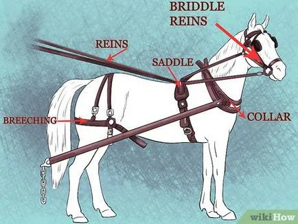 Как да се впрегне коня