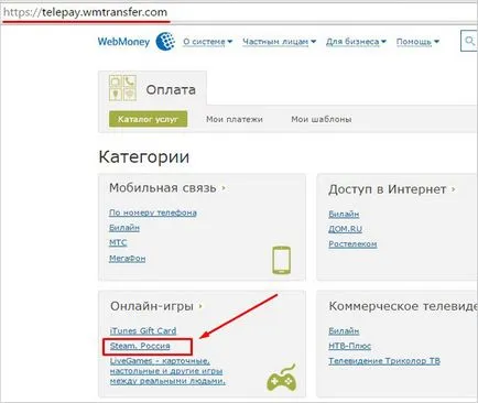 Как да се хвърлят пари в интернет през Steam