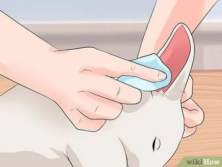 Cum se curata un urechi de iepure