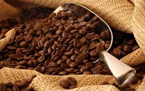 Kávé és prosztata - hatását a koffein a prosztata