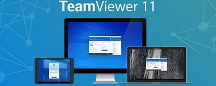 Utilizarea comercială TeamViewer, de activare a licenței