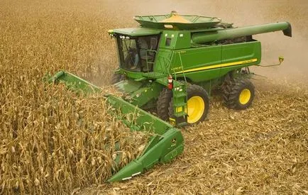 Amikor betakarított kukorica gabona és szilázs jellemzőit és időzítése