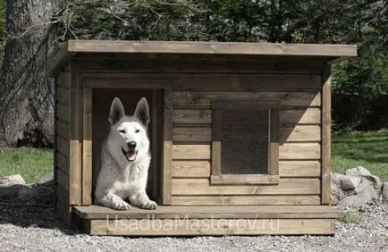 Vand cabina pentru Husky
