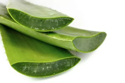 aloe alternatív orvoslás kezelés