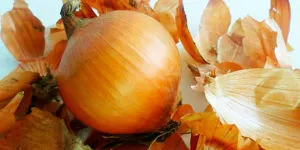 Onion кора рецепта от рейтингите налягане, лечението