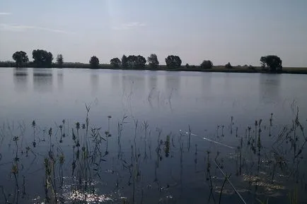 Улов шаран по - makushatnik