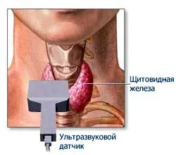 Metode de diagnostic endocrine