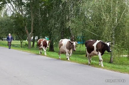 Tud túlélni egy tökéletes fehérorosz agrár-város