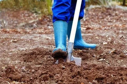 Agrovoloknom szamóca - ültetés epret agrovoloknom online áruház - Dim Garden City Plus