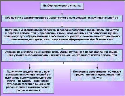 Chirie de terenuri este proprietate municipală din administrarea unui individ,