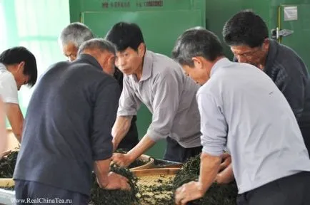 Természetes tej oolong