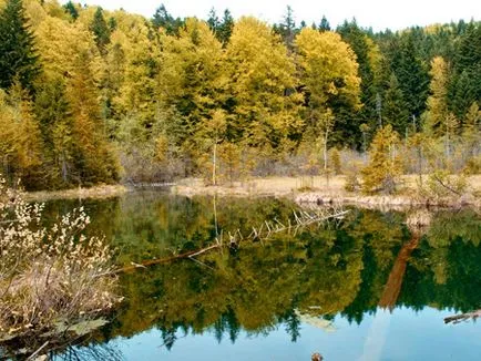 Parcul Național „Skole Beskids“ Perla Carpatilor