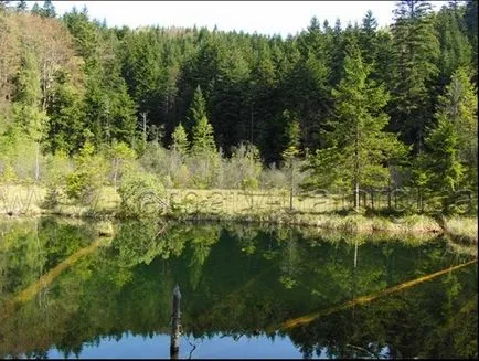 Nemzeti park „Szkole Beszkidek”